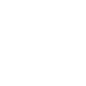 The Salveson Mindroom Centre The Salveson Mindroom Centre